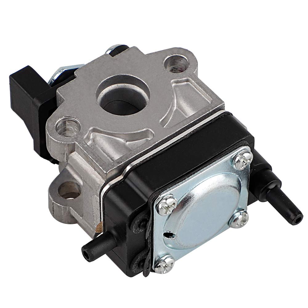 Ferilter carburetor with spark plug and air filter visible for complete service