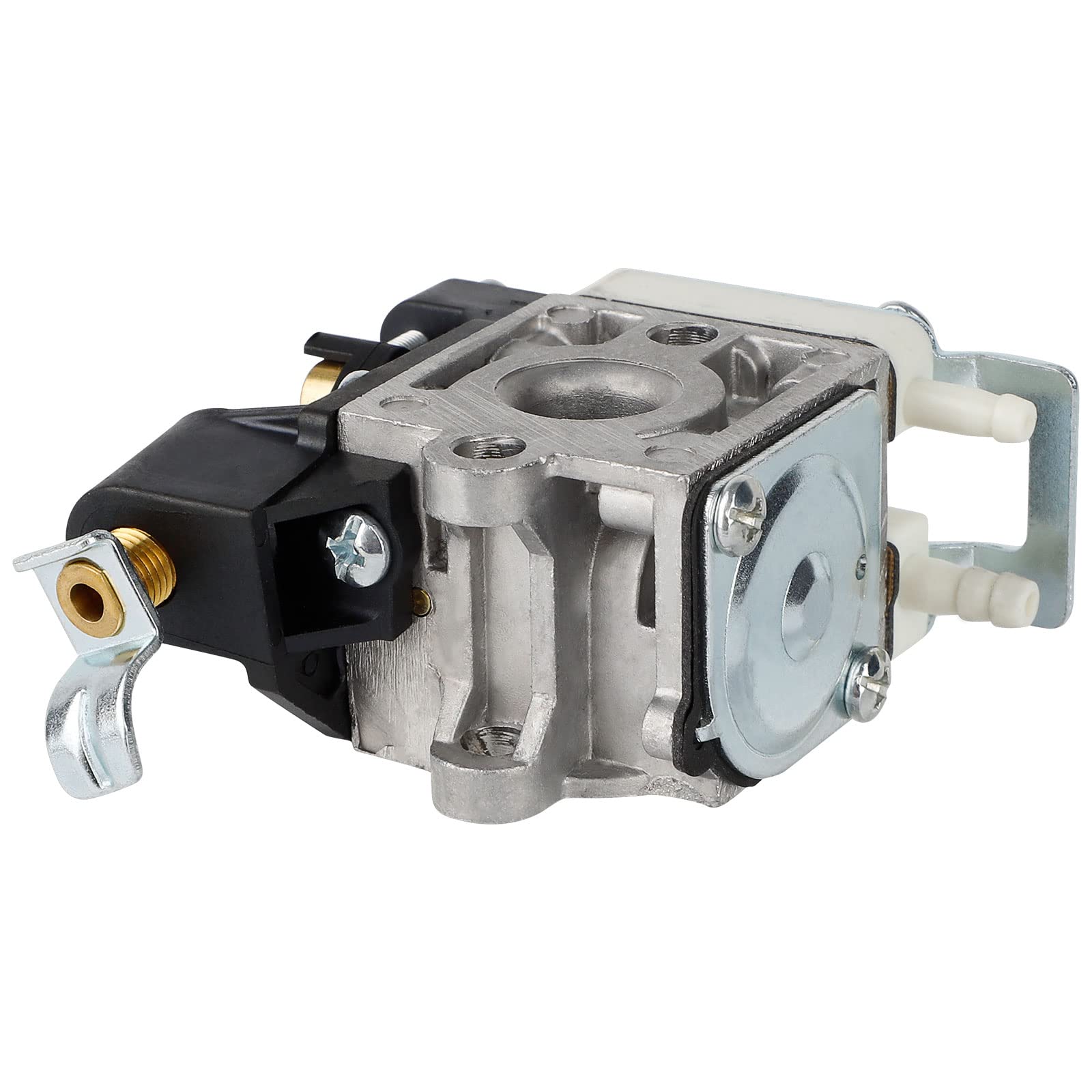 Ferilter PB250 carburetor with fuel line kit ready for maintenance.