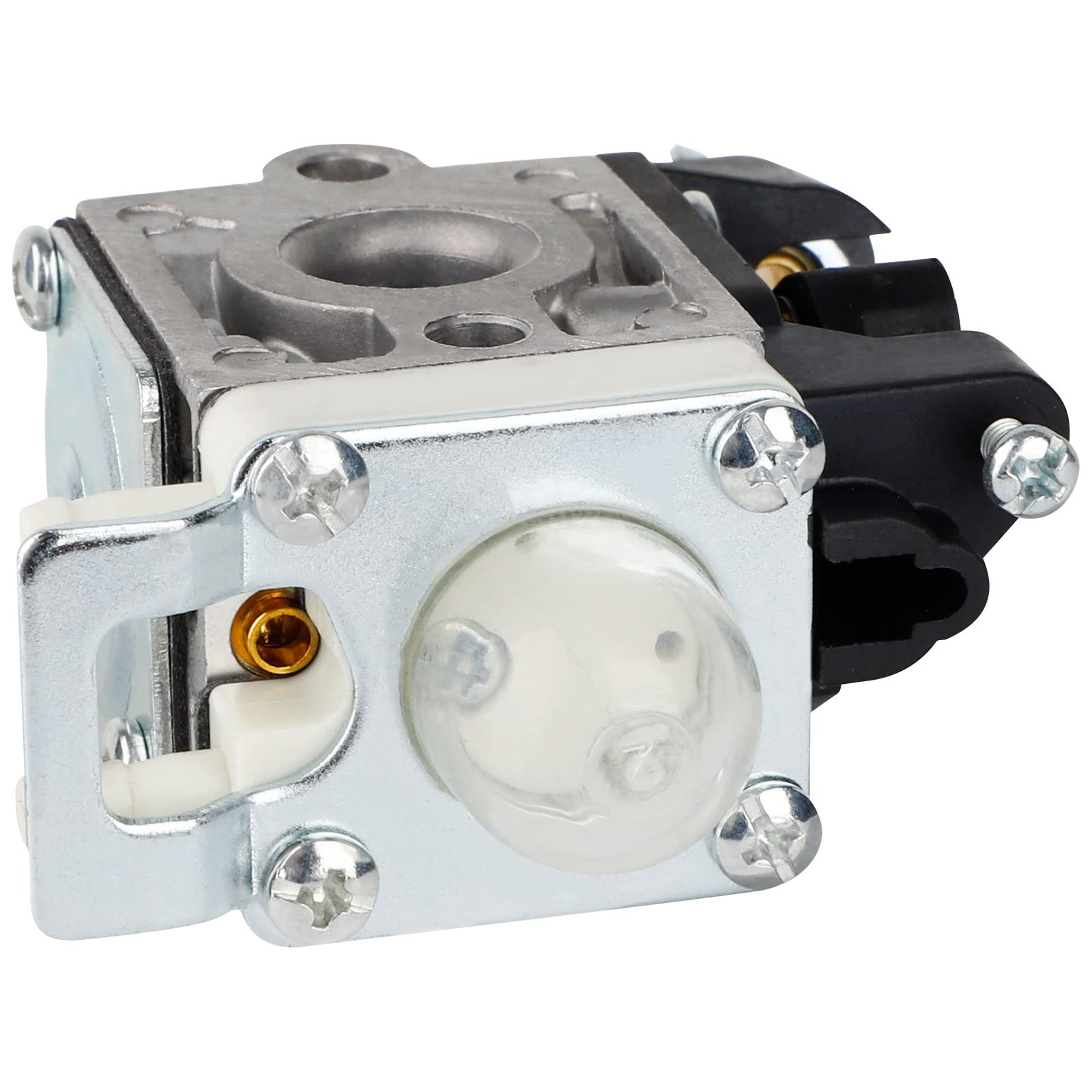 Ferilter PB250 carburetor showing gaskets, spark plug and kit components.