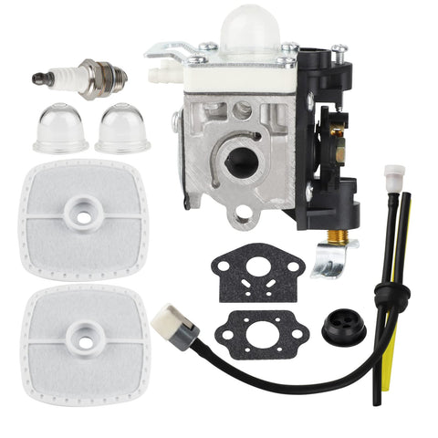 Ferilter PB250 carburetor packaging with included tune-up kit for Echo blower.