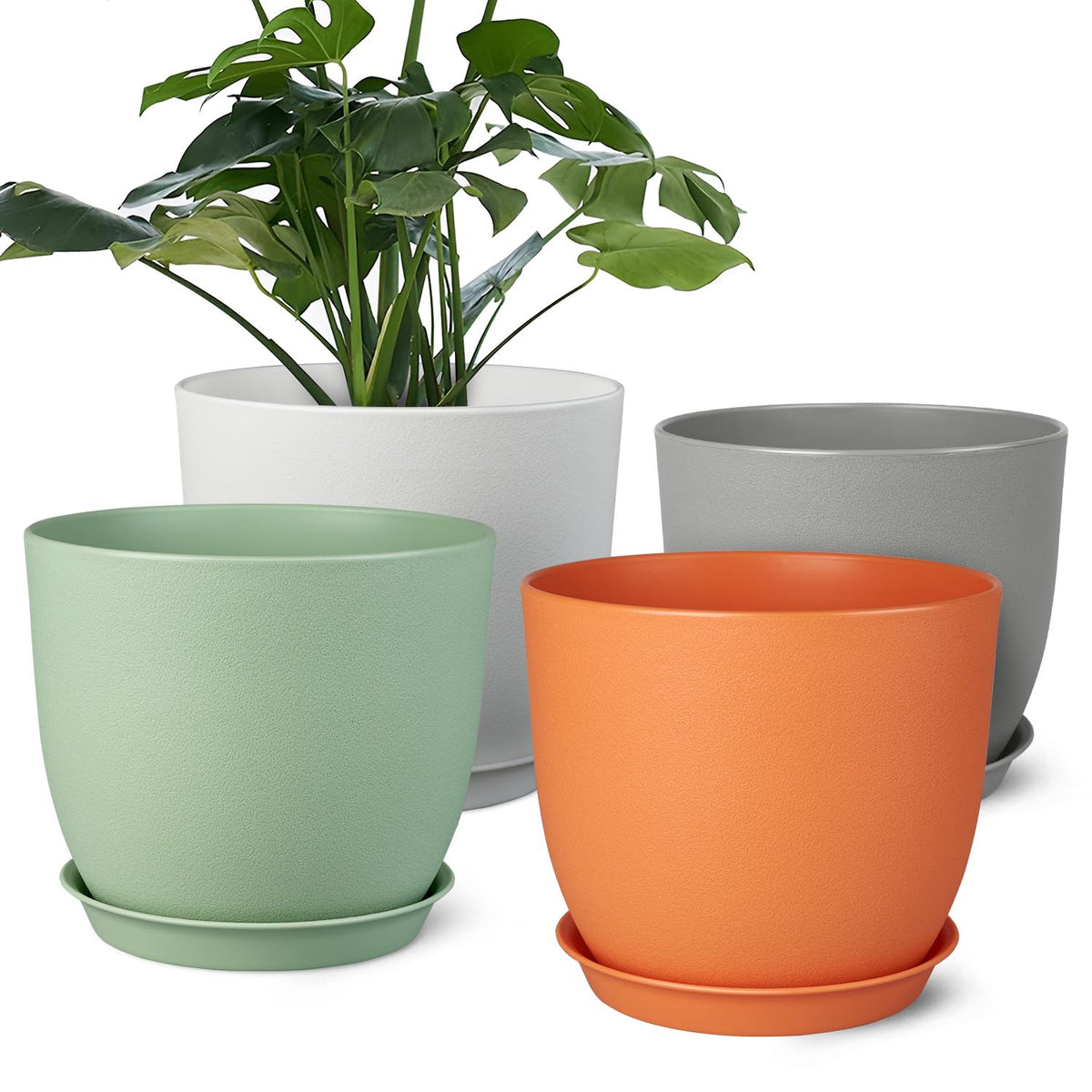 Ferlypote 8-inch planter with multi mesh drainage holes for better soil drainage.