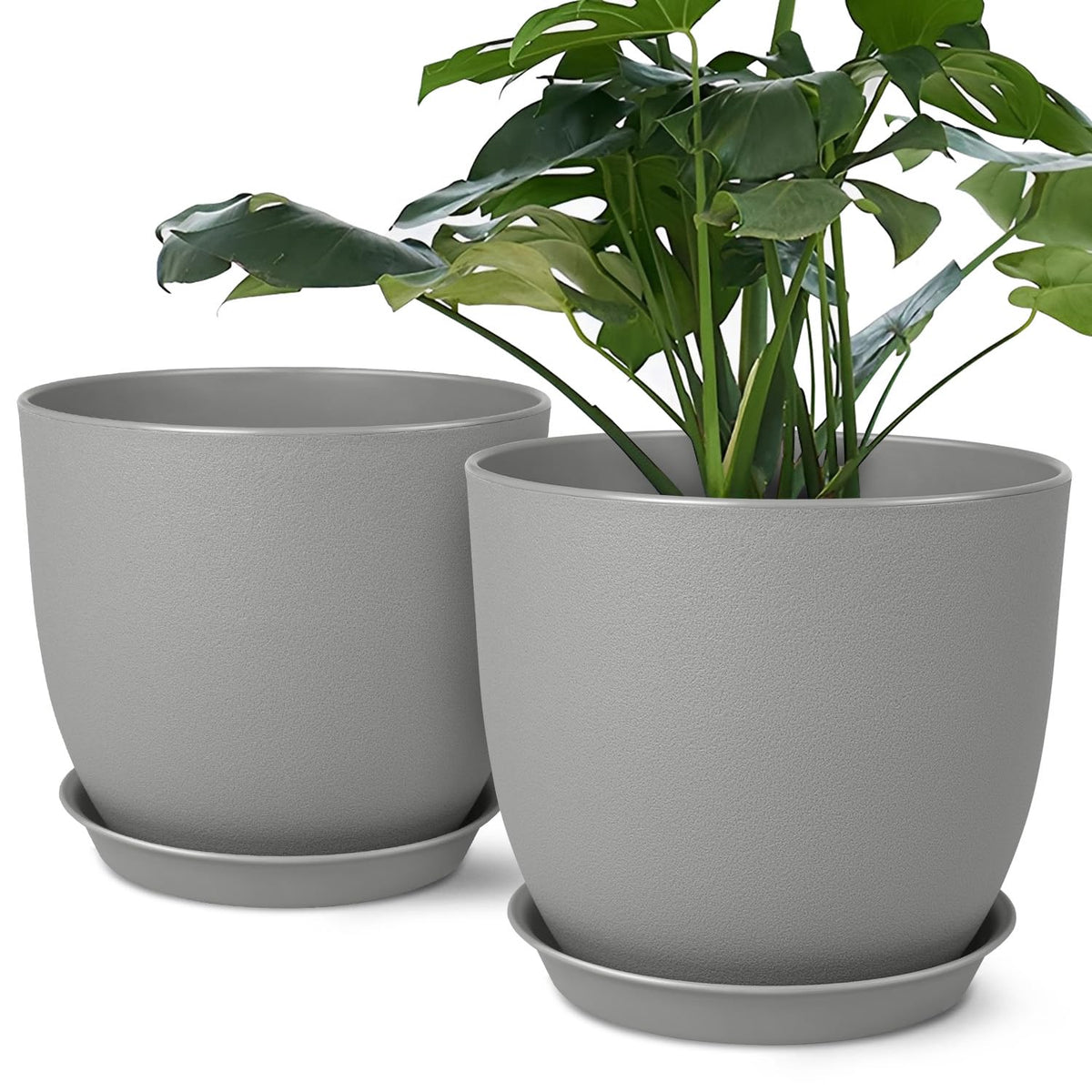 Ferlypote 8-inch pot set front view with matte finish for modern decor.