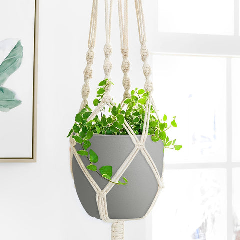 Ferlypote 8-inch pot set matte finish complements home and balcony decor.