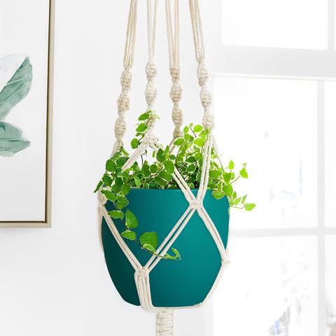 Ferlypote set of four blue pots supports flexible plant arrangements.