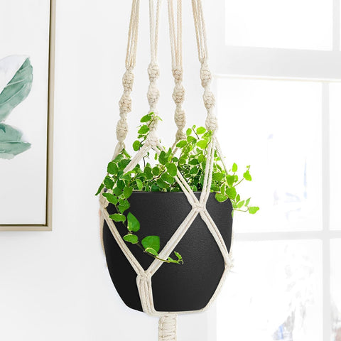 Ferlypote 8-inch pots ideal for herbs, succulents, and flowers.