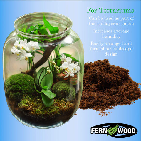 Fernwood-tree-fern-substrate-soft-and-fluffy texture supports air around roots