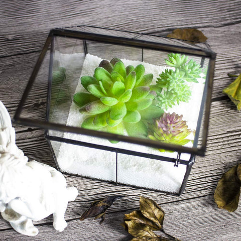 Ferrisland glass terrarium clear glass ensures bright light for plants