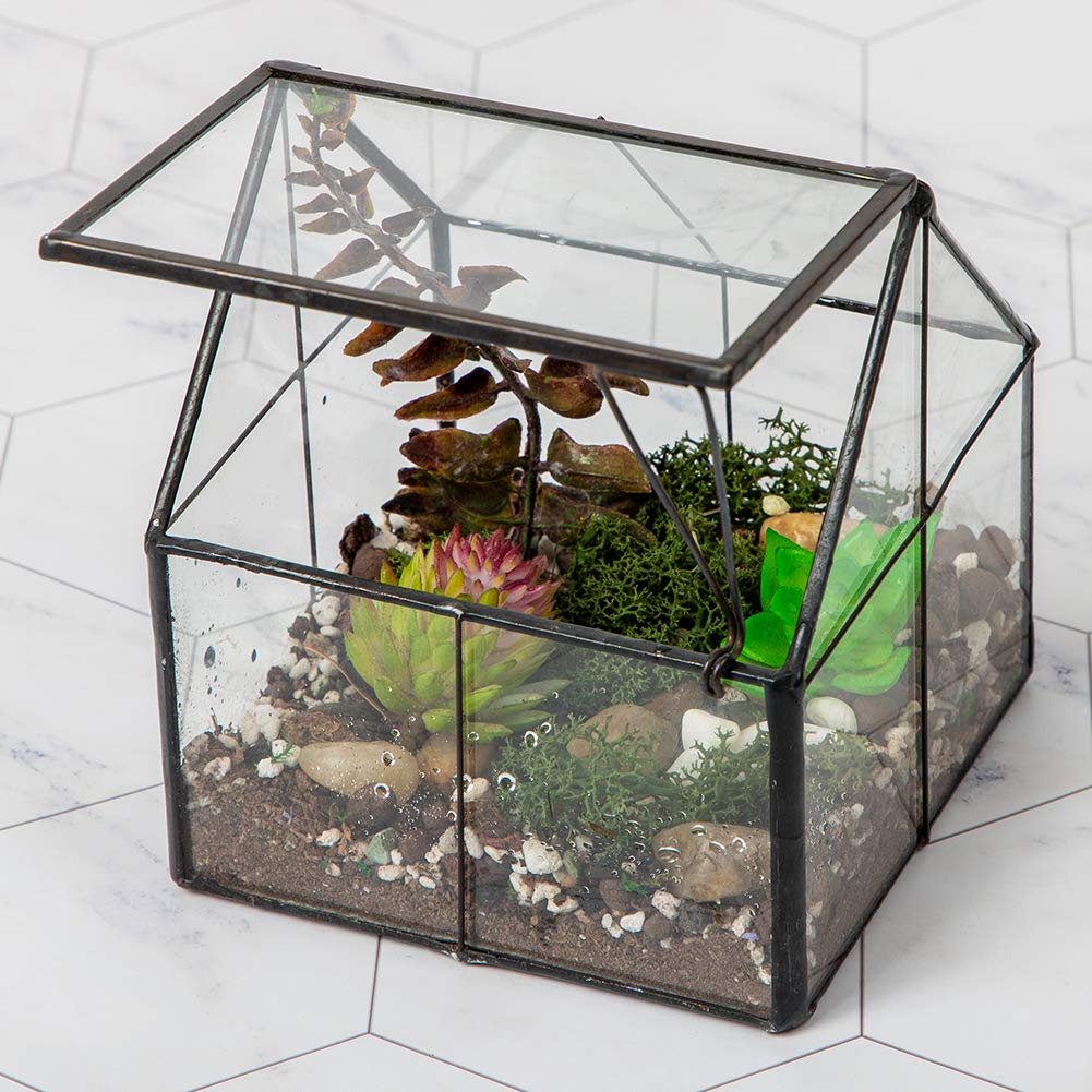 Ferrisland glass terrarium house shape with lid for stylish micro gardens