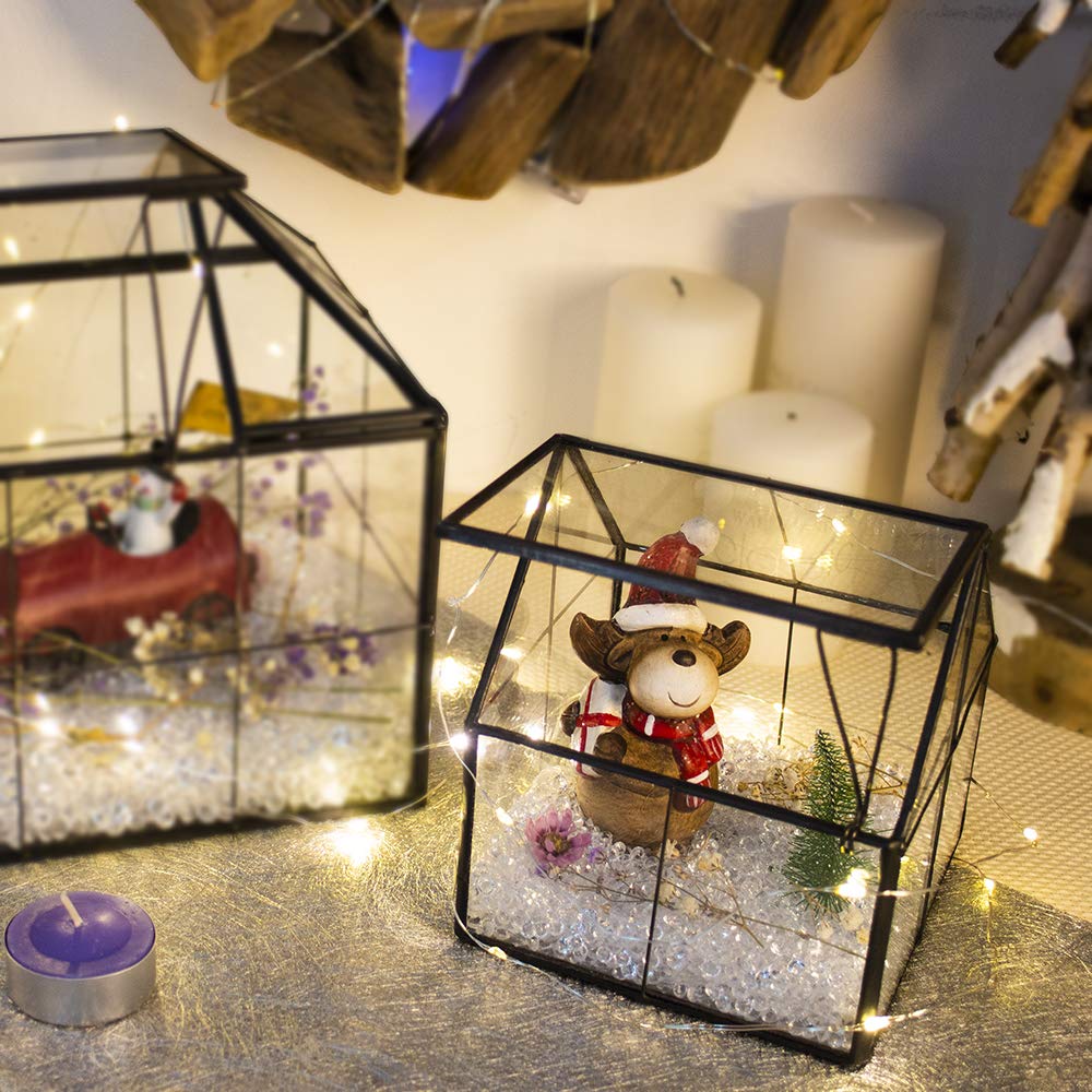 Ferrisland terrarium compact 4.3x4.3 inches for desks