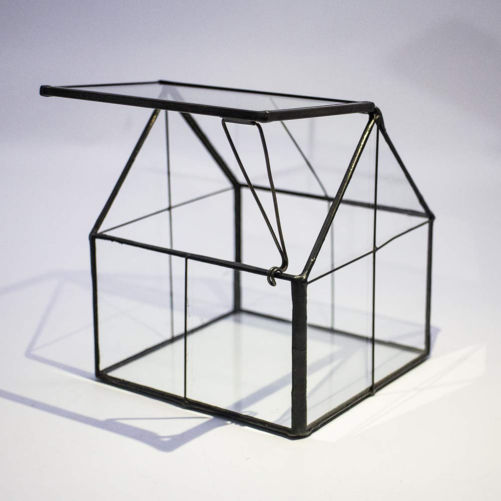 Ferrisland mini garden setup fits weddings and home tables