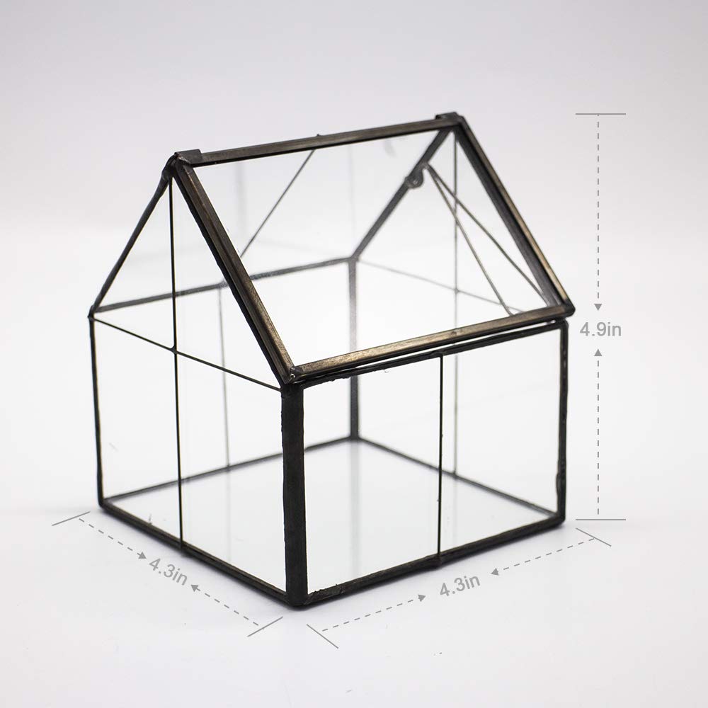 Ferrisland terrarium light transmission supports plant vitality