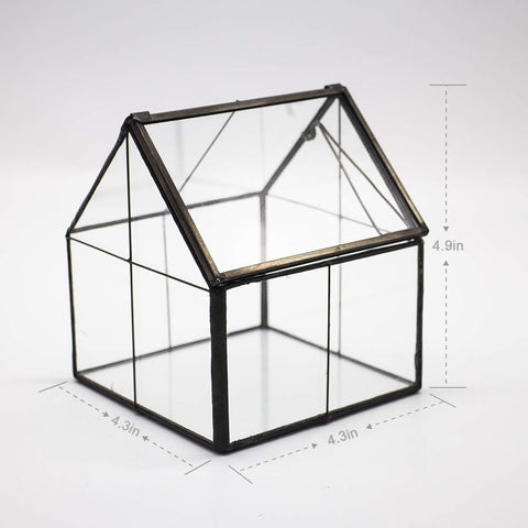 Ferrisland terrarium light transmission supports plant vitality