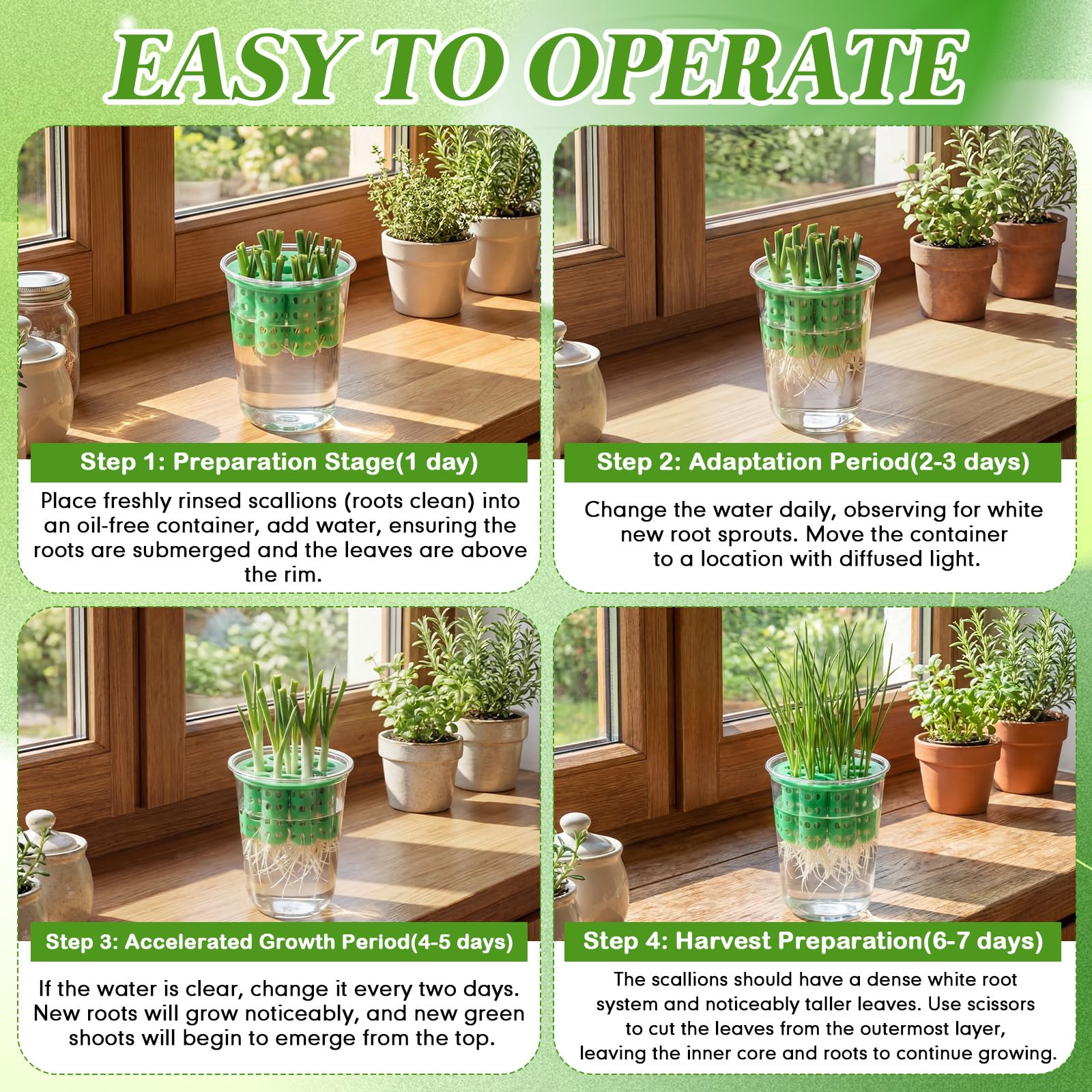 Ferrochef 3D-printed seeding tray detail highlights sturdy root support and straight seedling growth.