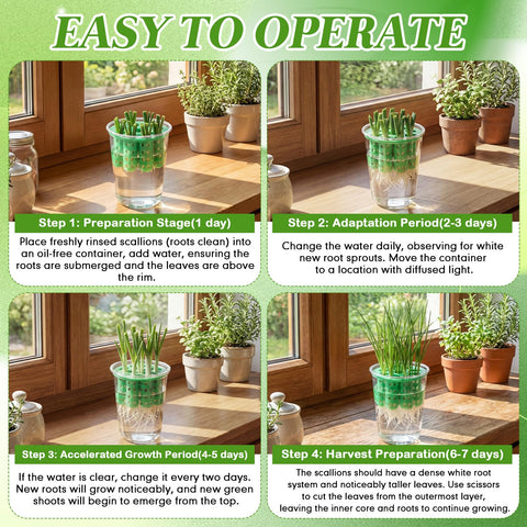 Ferrochef 3D-printed seeding tray detail highlights sturdy root support and straight seedling growth.