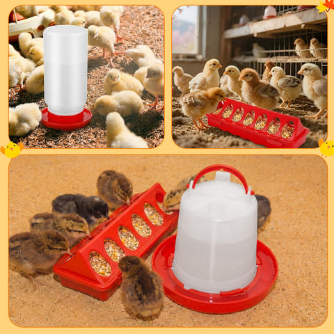 Ferrochef brooder kit assembly image demonstrates easy setup.