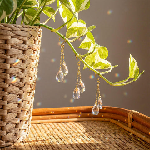Ferrochef plant sun catcher crystal teardrop enhances natural light on windows