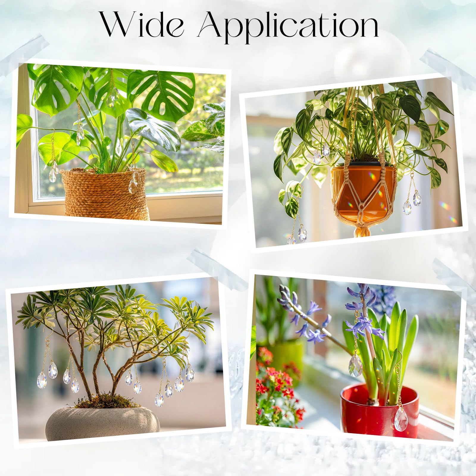 Ferrochef glass sun catcher ornament enhances any plant display