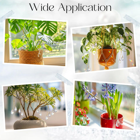 Ferrochef glass sun catcher ornament enhances any plant display