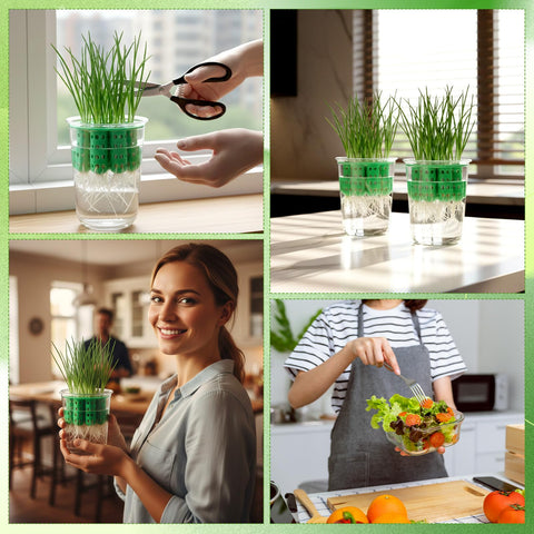 Ferrochef green onion planter on the kitchen counter supports easy self-sufficiency.