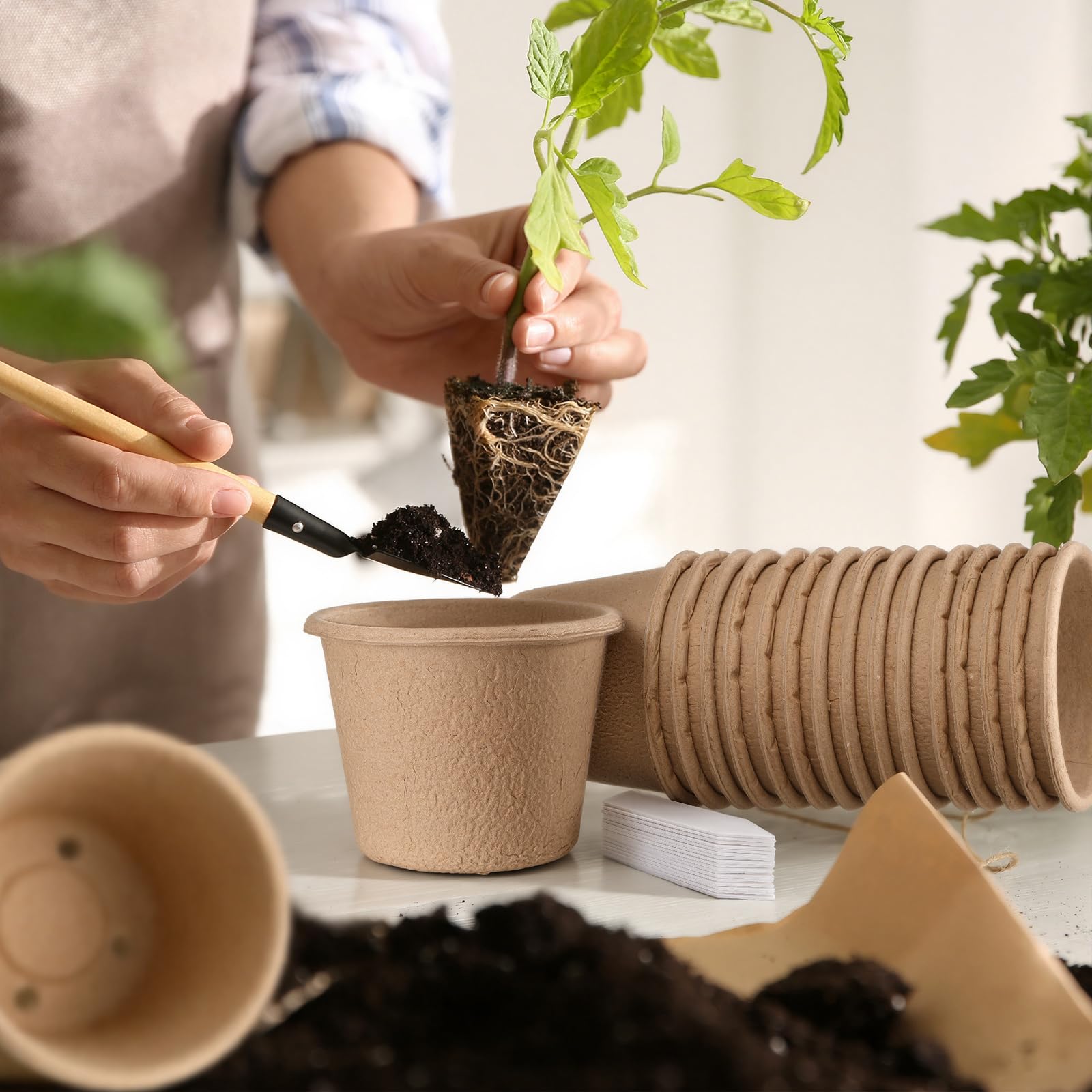 Ferrochef sustainable nursery pot supports easy transplanting.