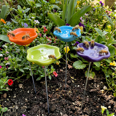 Ferrochef resin bee watering station orange color in garden offers safe drinking for pollinators
