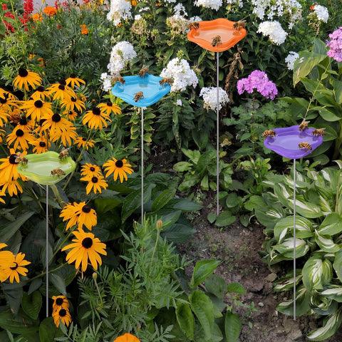 Ferrochef resin bee watering station stable base prevents tipping during rain