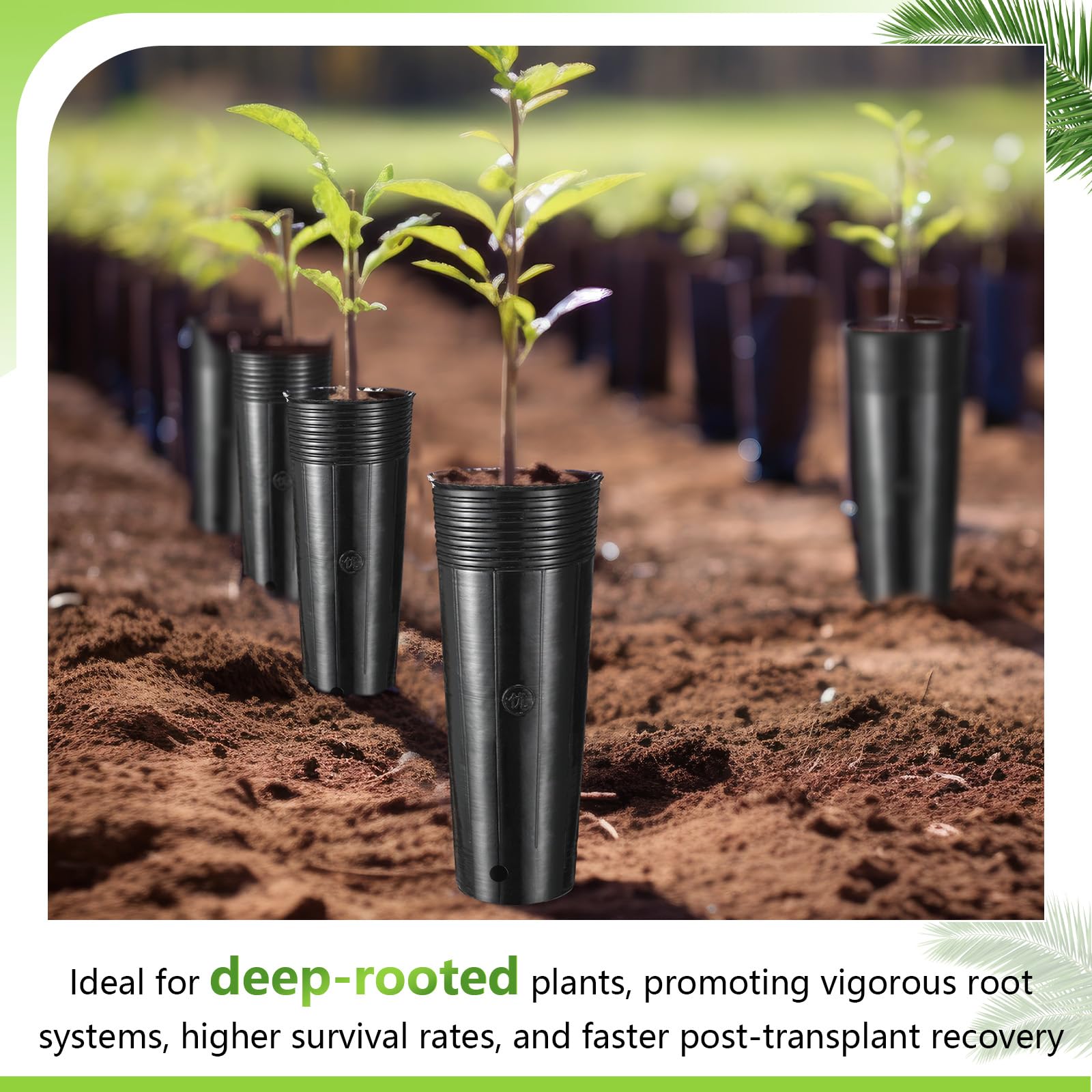 Ferrochef seed starter cups with drainage holes prevent waterlogging and root rot