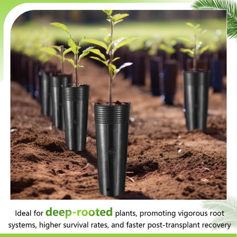Ferrochef seed starter cups with drainage holes prevent waterlogging and root rot