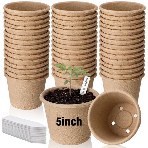Ferrochef 5-inch seed starter pot with drainage promotes healthy root growth.
