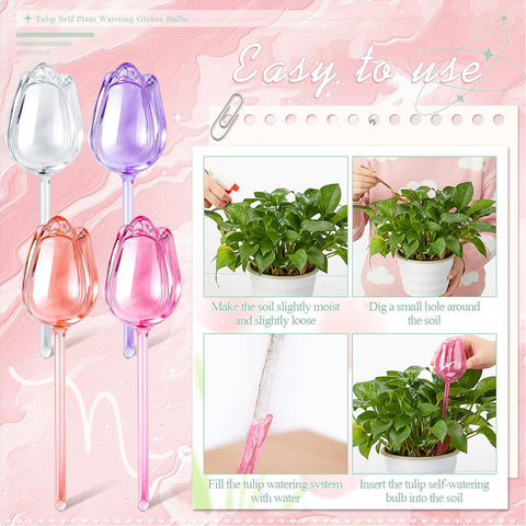 Ferrochef pink globes for tulips bulbs show water level for easy refills