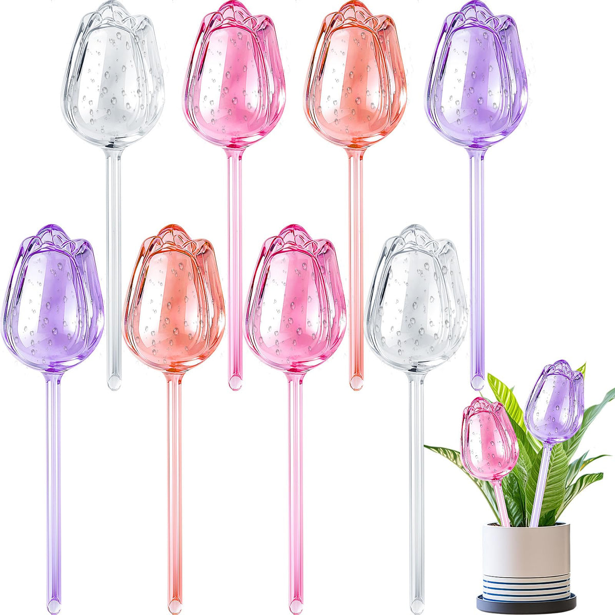 Ferrochef self-watering globes in purple for tulips bulbs deliver steady moisture