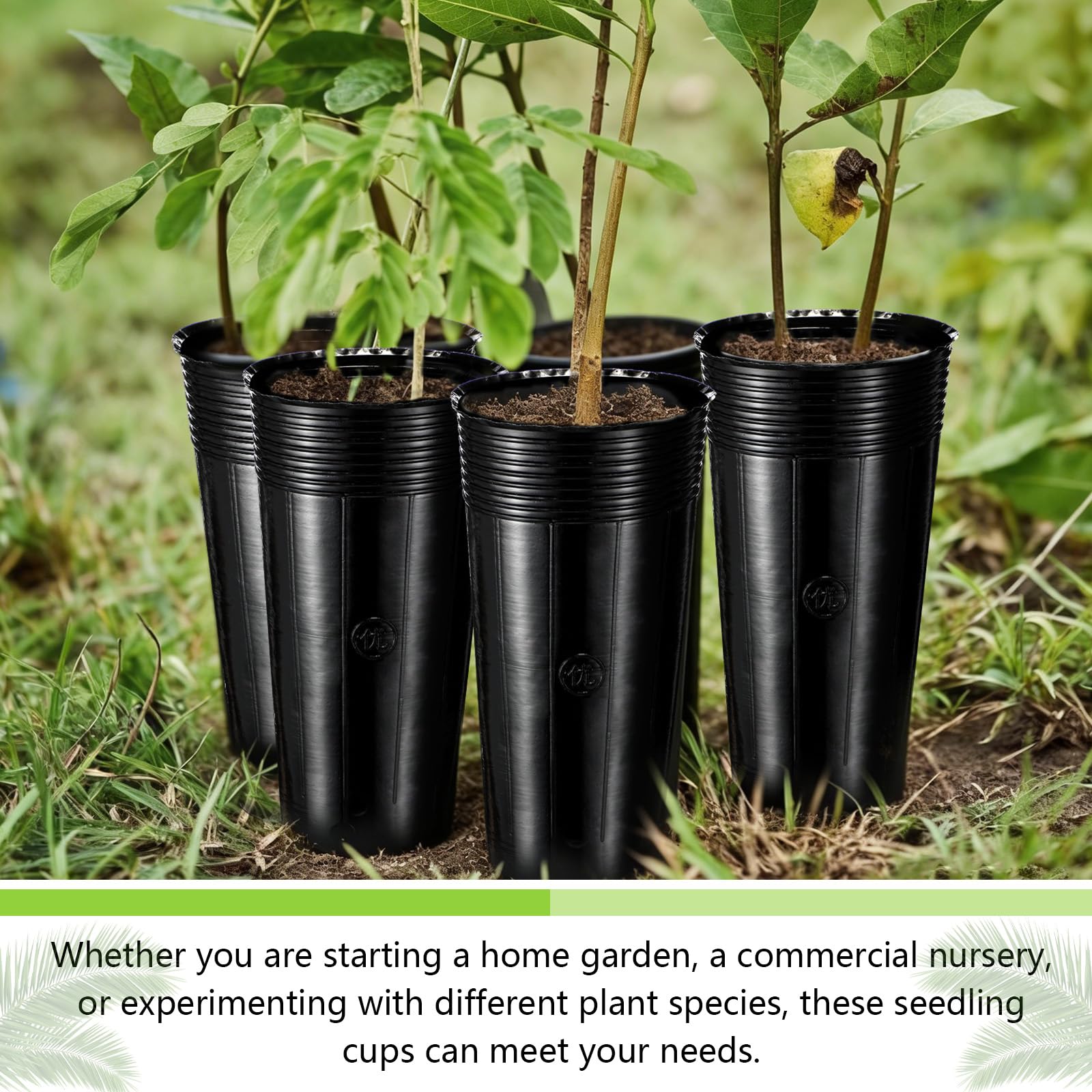 Ferrochef tall pot with 12 cm top diameter ideal for cuttings and transplant