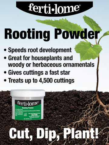 Ferti-lome Rooting Powder planting-step with cuttings promotes reliable root development in common houseplants.