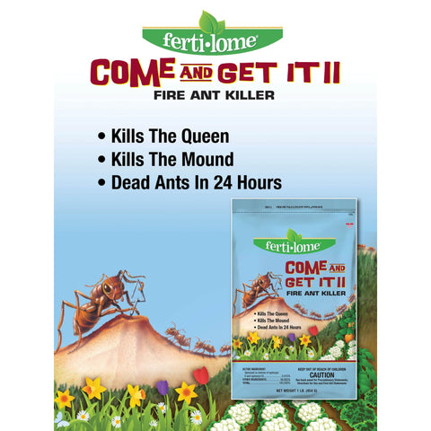 Ants may die within 24-36 hours after foraging bait.