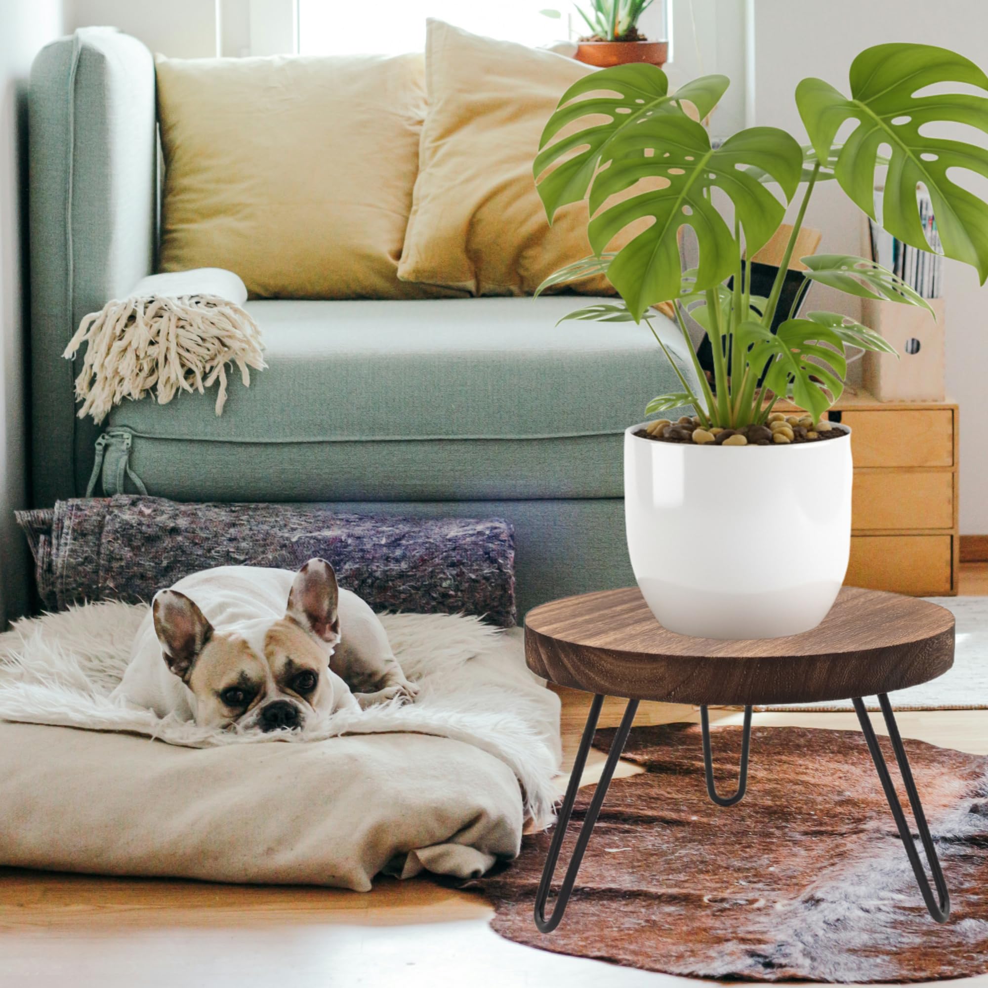 FESTLOVE natural wood stand pairs with a ceramic vase