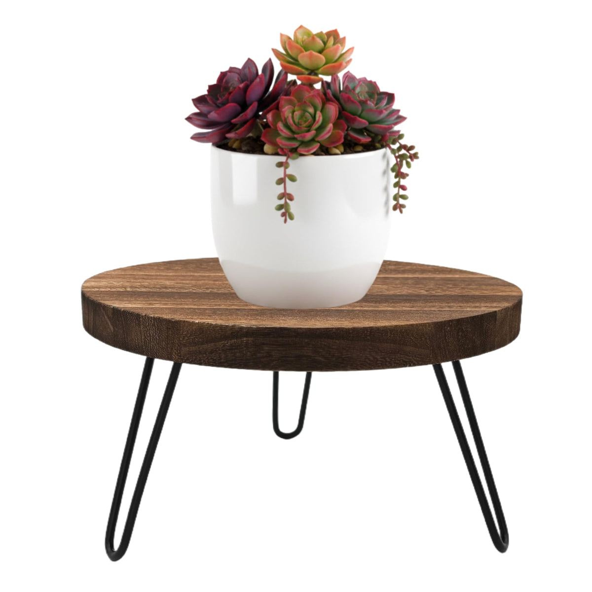 FESTLOVE wood plant stand elevates large Monstera with a stable base