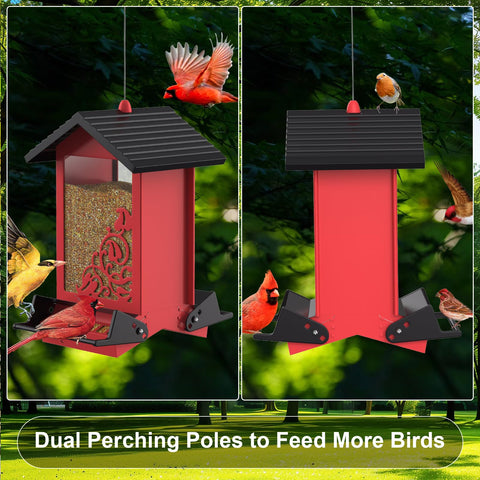 FETUSI red finish adds garden charm while feeding birds.