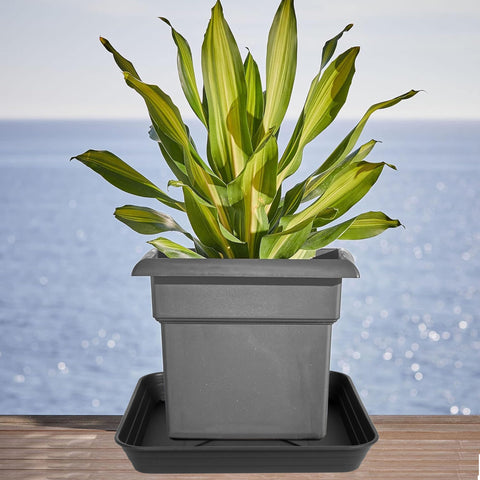 Feyvdzv square planter tray with no holes for indoor use