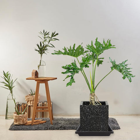 Feyvdzv square plant saucer easy to clean with a damp cloth.