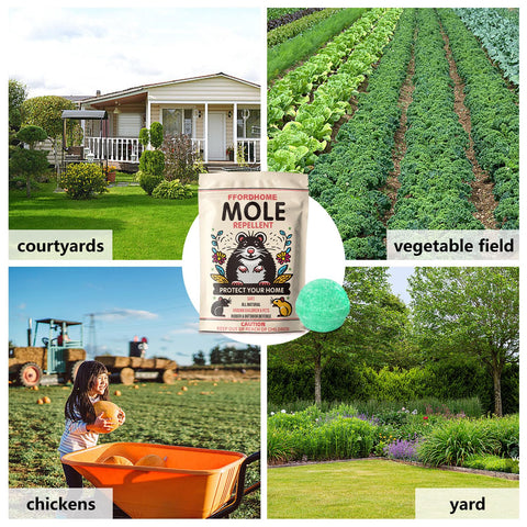 FfordHome Mole Repellent being applied with gloves for garden safety.