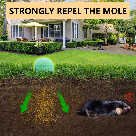 FfordHome Mole Repellent close-up on soil surface with burrow nearby.