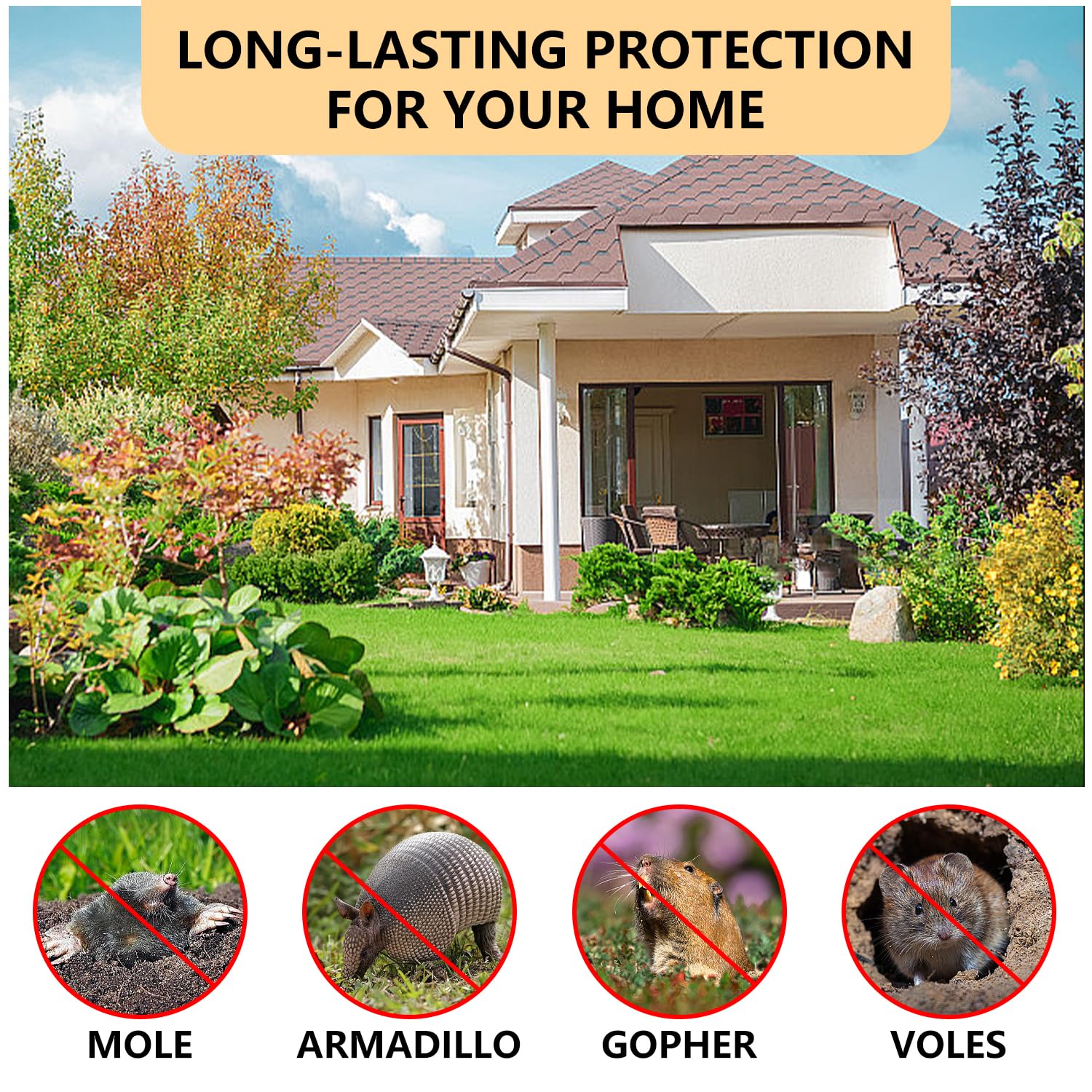 FfordHome Mole Repellent being sprinkled on the lawn to deter pests.