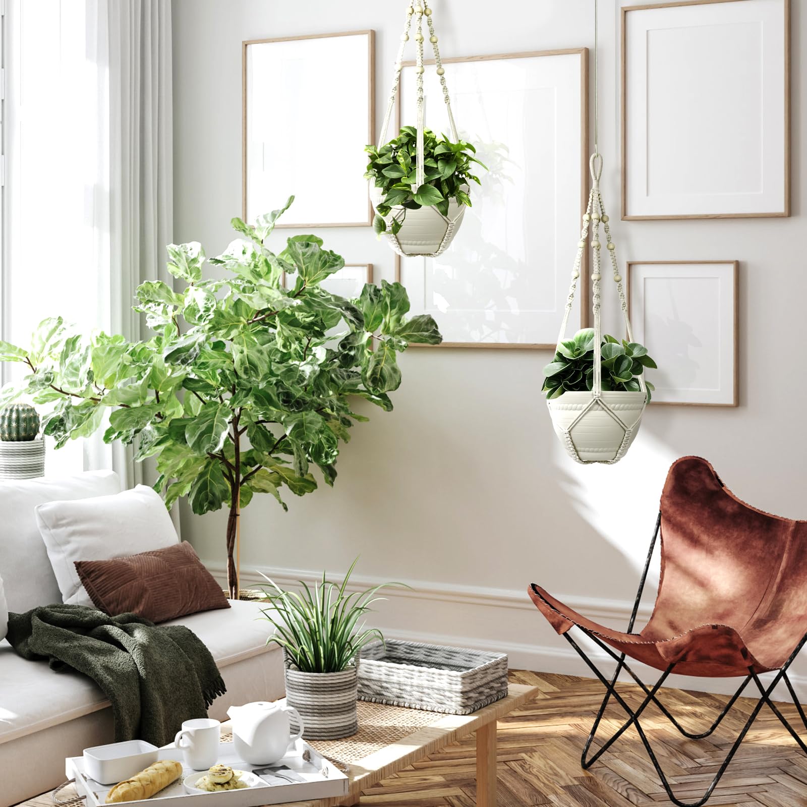 FGSAEOR gift-ready packaging enhances gifting for plant lovers.