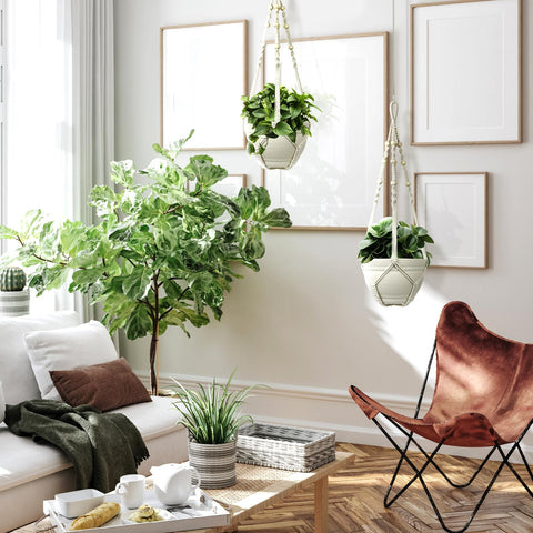 FGSAEOR gift-ready packaging enhances gifting for plant lovers.