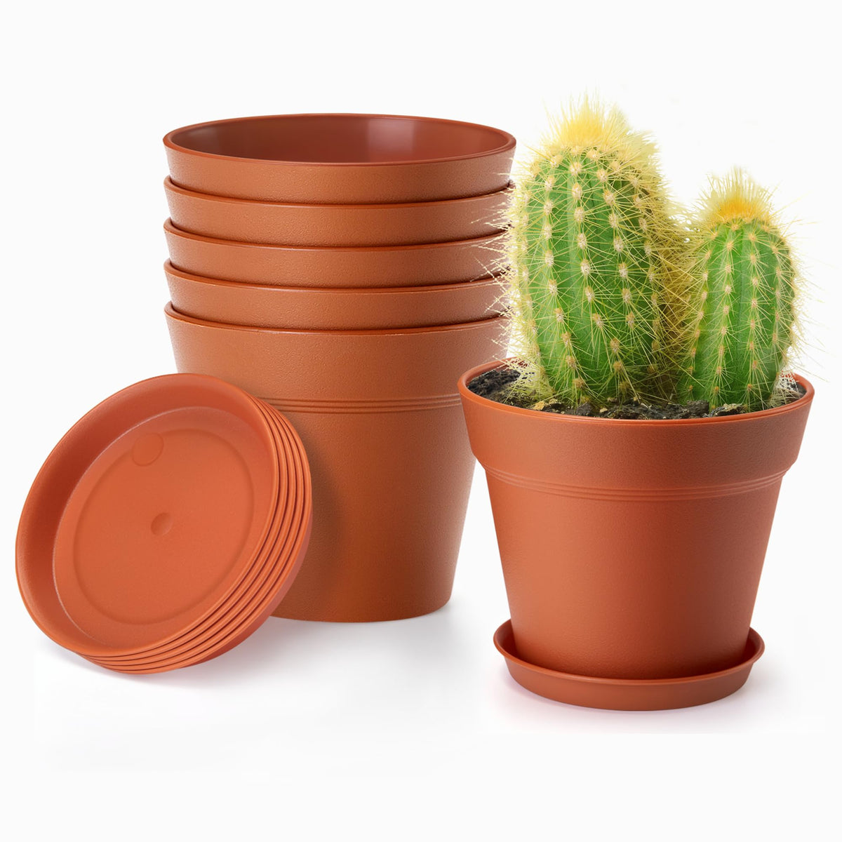 FHWTY 4-inch pot with saucer for easy watering and tidy drainage.
