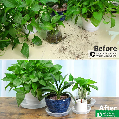 FHWTY 8-pack plant saucers ideal for indoor and outdoor plant setups.