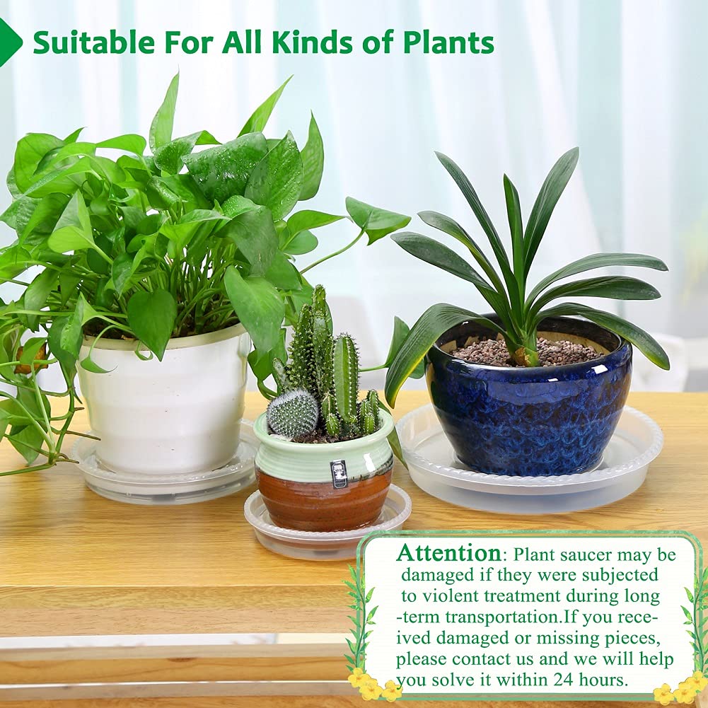 FHWTY clear plant saucer water level visibility aids moisture monitoring.