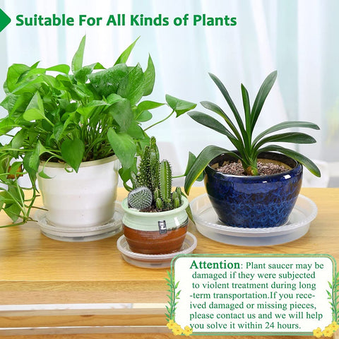 FHWTY clear plant saucer water level visibility aids moisture monitoring.
