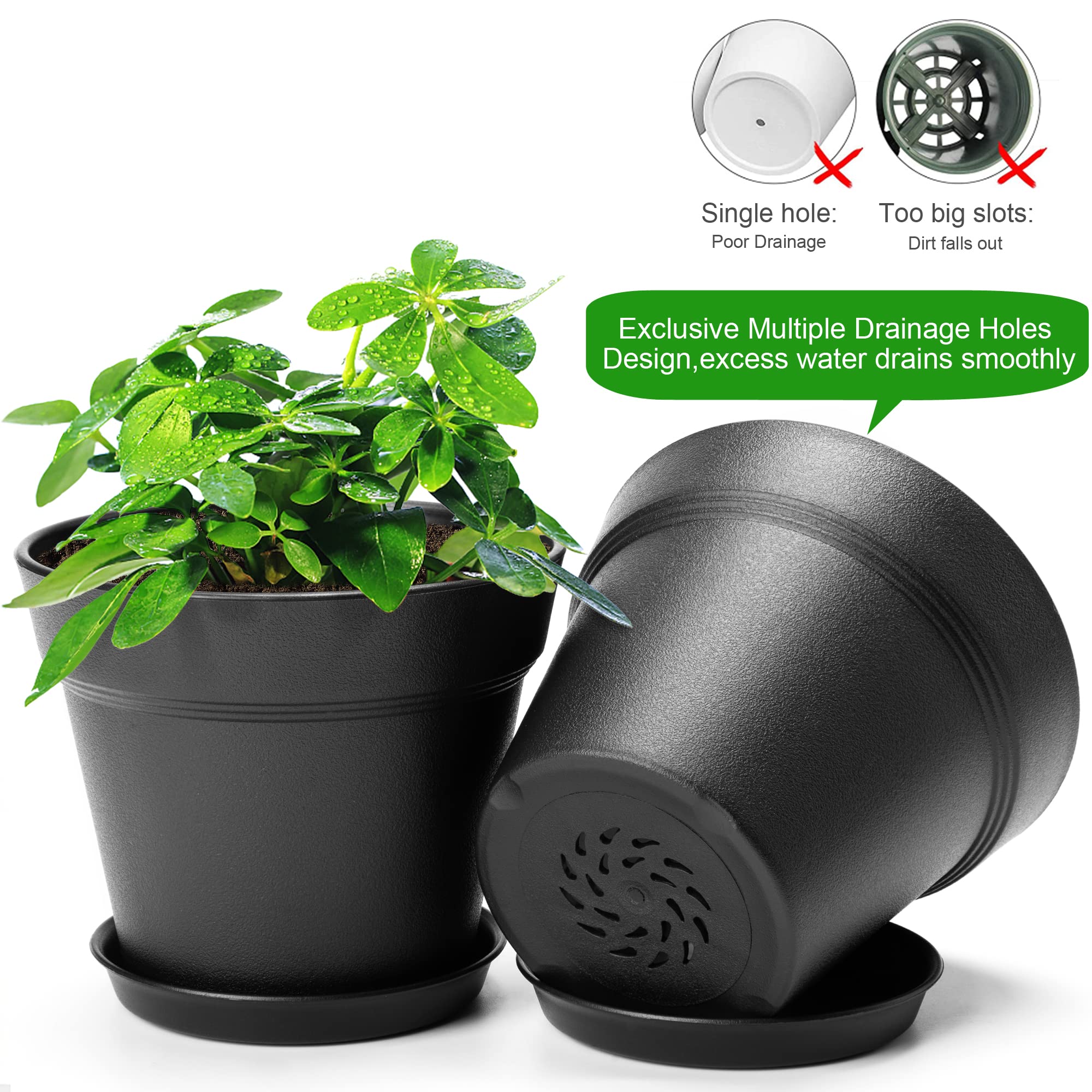 FHWTY pot with drainage holes promotes airflow and reduces root rot