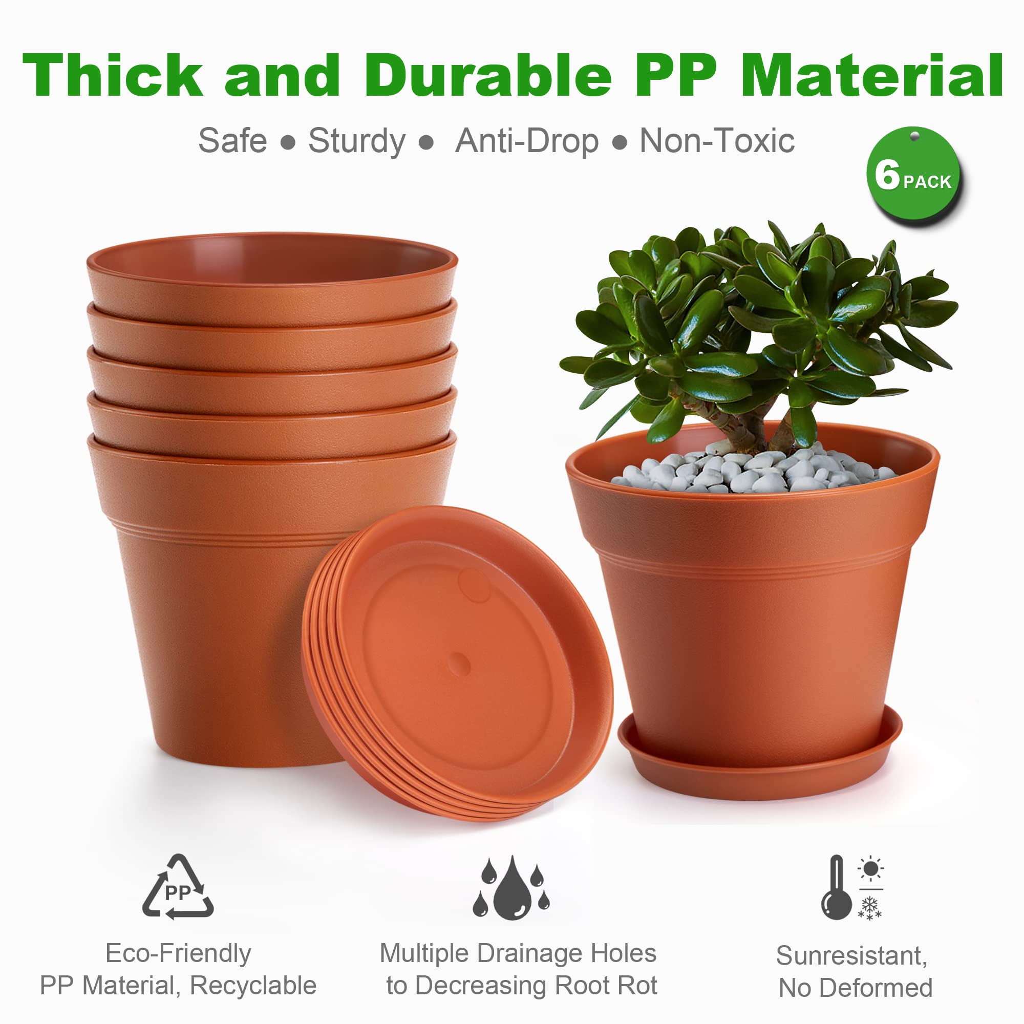 FHWTY drainage holes support healthy root airflow.